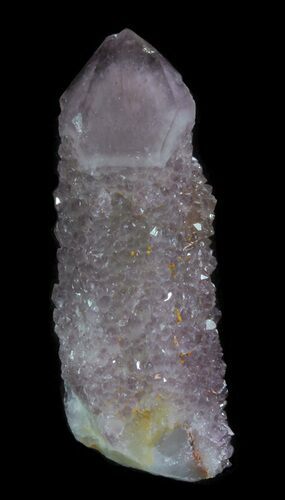 Dark Cactus Quartz (Amethyst) Crystal - South Africa #64227